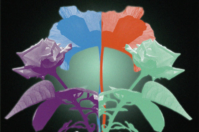 Coregulation shown by overlapping plants