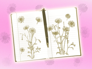 journal prompts with flowers