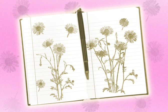 journal prompts with flowers
