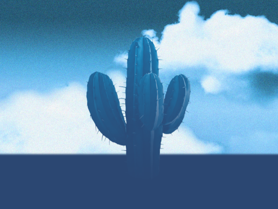 blue cactus symbolizing how to not feel lonely