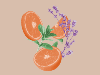 common aromatherapy for mental health associations: orange, mint, lavender