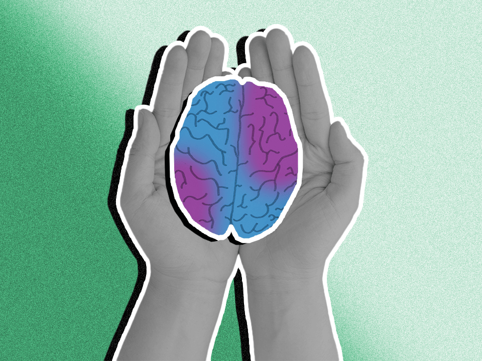 A brain in hands to represent what causes bipolar disorder