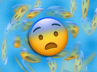 What does a panic attack feel like represented by a panic attack emoji