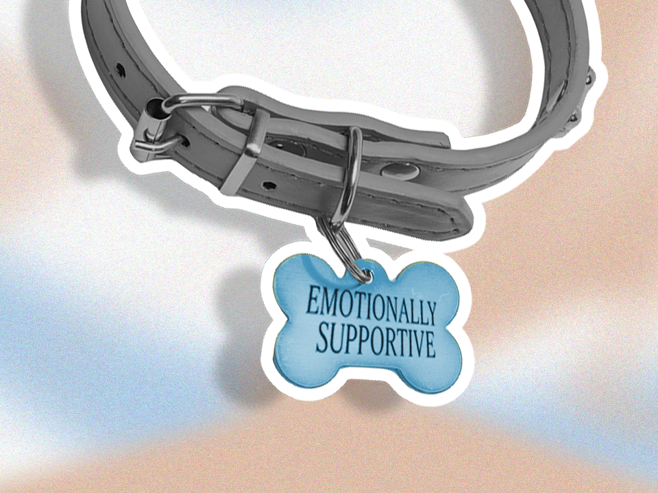 A dog collar for an emotional support animal