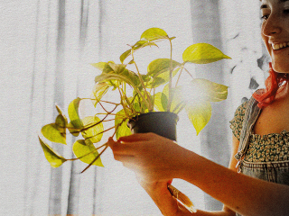 A latinx person tending to a plant to represent mental health resources