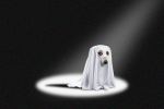 a dog in a white sheet to represent being ghosted