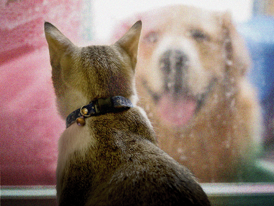 What Is an Avoidant Attachment Style? - Wondermind