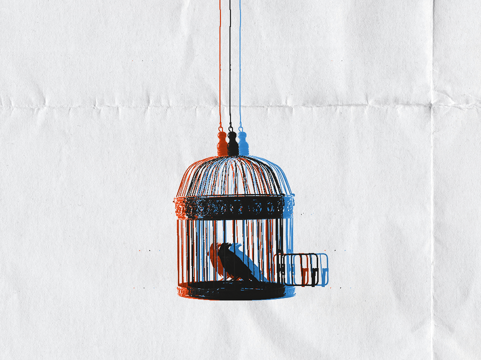 a caged bird being freed to represent facing your fears