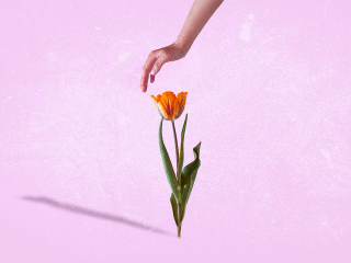 Someone having self-compassion and reaching out their hand to protect a flower on the ground
