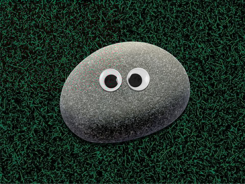 gray rock with eyes