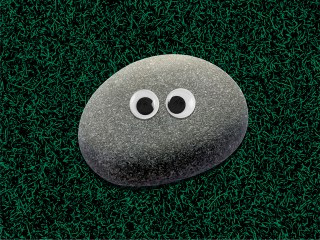 gray rock with eyes