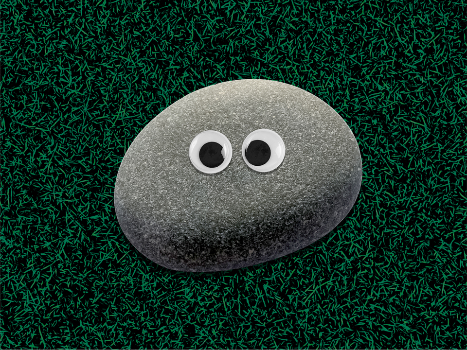 gray rock with eyes